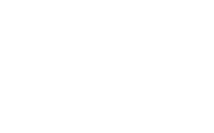 block reign logo 2